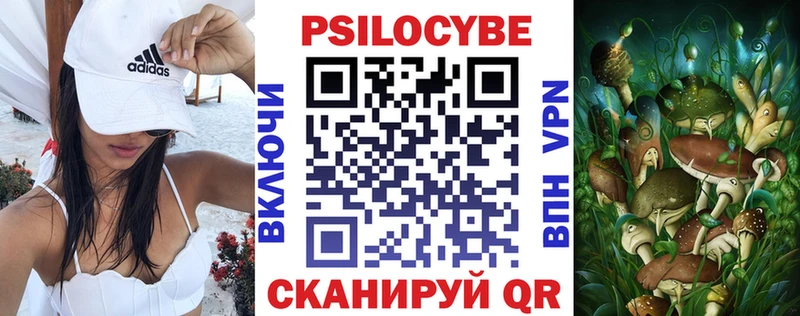 где купить наркотик  blacksprut ССЫЛКА  Псилоцибиновые грибы мухоморы  Заволжск 
